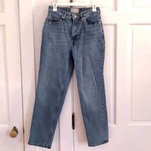 Everlane the Original Curvy Cheeky Jeans